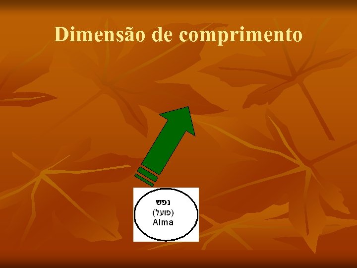 Dimensão de comprimento 