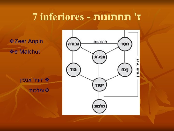 7 inferiores - ז' תחתונות v. Zeer Anpin ve Malchut זעיר אנפין v ומלכות