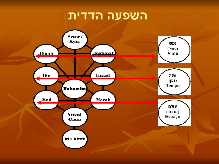  השפעה הדדית 