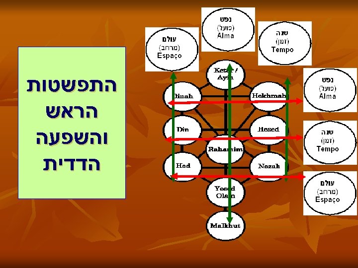 התפשטות הראש והשפעה הדדית 