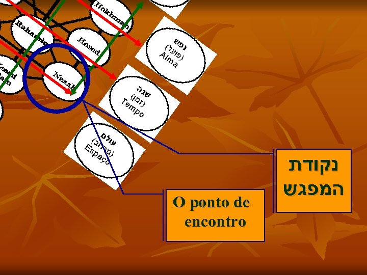 O ponto de encontro נקודת המפגש 