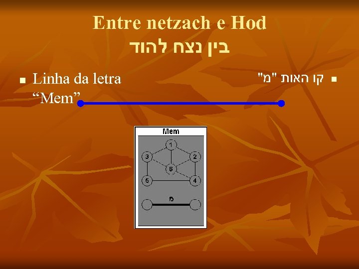 Entre netzach e Hod בין נצח להוד n Linha da letra “Mem” " קו