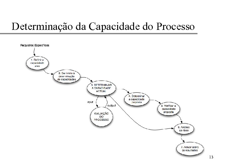 Determinação da Capacidade do Processo 13 