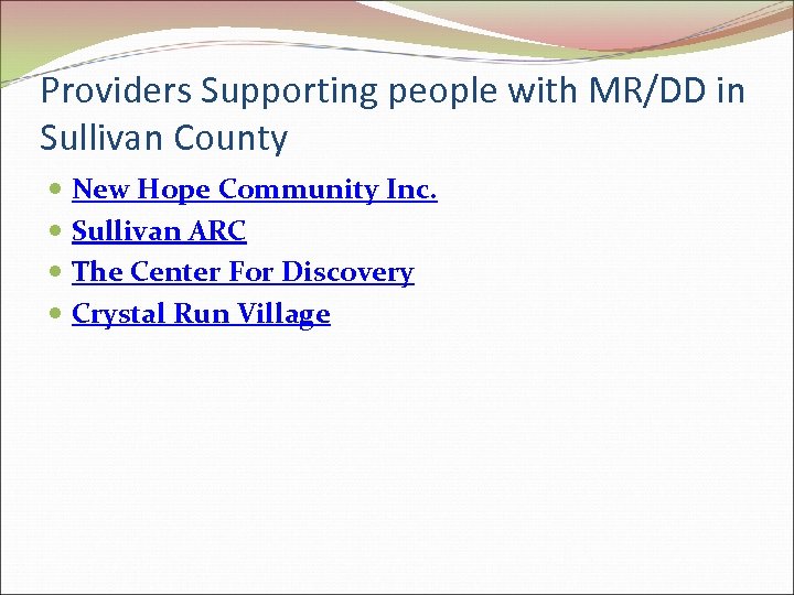 Providers Supporting people with MR/DD in Sullivan County New Hope Community Inc. Sullivan ARC
