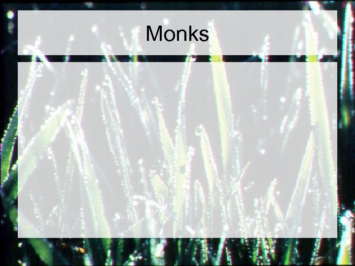 Monks 