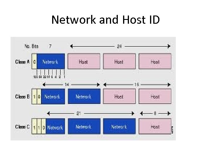 Network and Host ID 