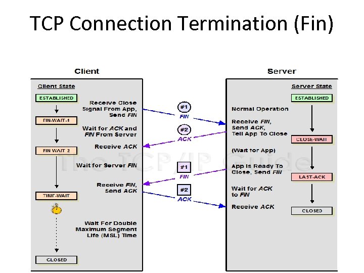 TCP Connection Termination (Fin) 