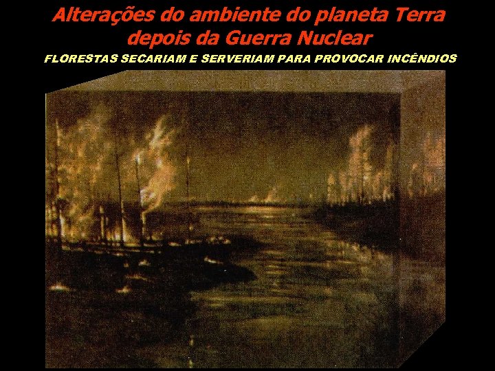 Alterações do ambiente do planeta Terra depois da Guerra Nuclear FLORESTAS SECARIAM E SERVERIAM