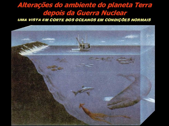 Alterações do ambiente do planeta Terra depois da Guerra Nuclear UMA VISTA EM CORTE