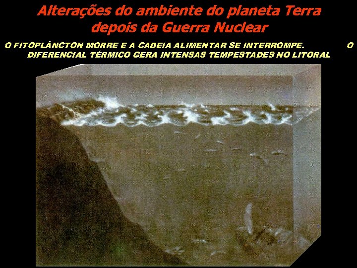 Alterações do ambiente do planeta Terra depois da Guerra Nuclear O FITOPL NCTON MORRE