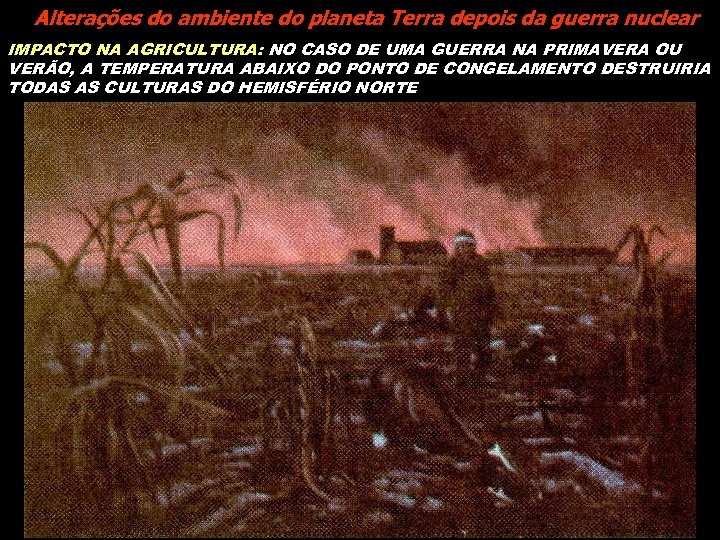 Alterações do ambiente do planeta Terra depois da guerra nuclear IMPACTO NA AGRICULTURA: NO