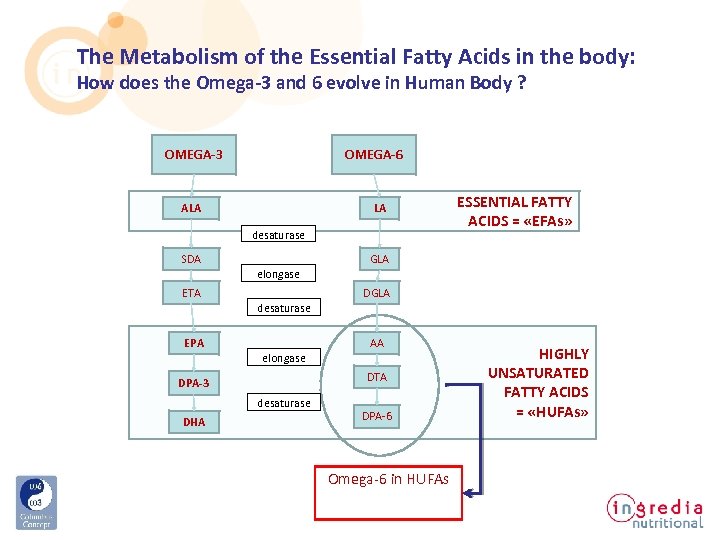 The Metabolism of the Essential Fatty Acids in the body: How does the Omega-3