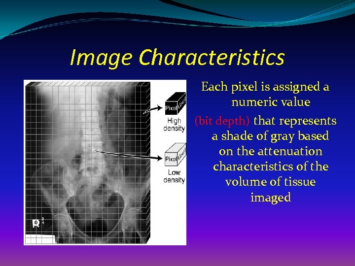 Image Characteristics Each pixel is assigned a numeric value (bit depth) that represents a