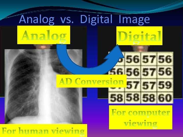 Analog vs. Digital Image 