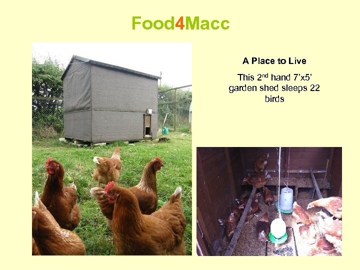 Food 4 Macc A Place to Live This 2 nd hand 7’x 5’ garden