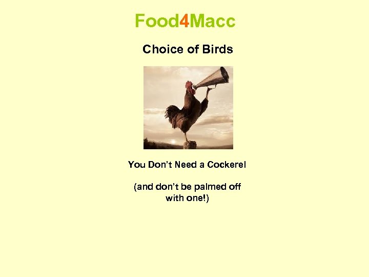 Food 4 Macc Choice of Birds You Don’t Need a Cockerel (and don’t be