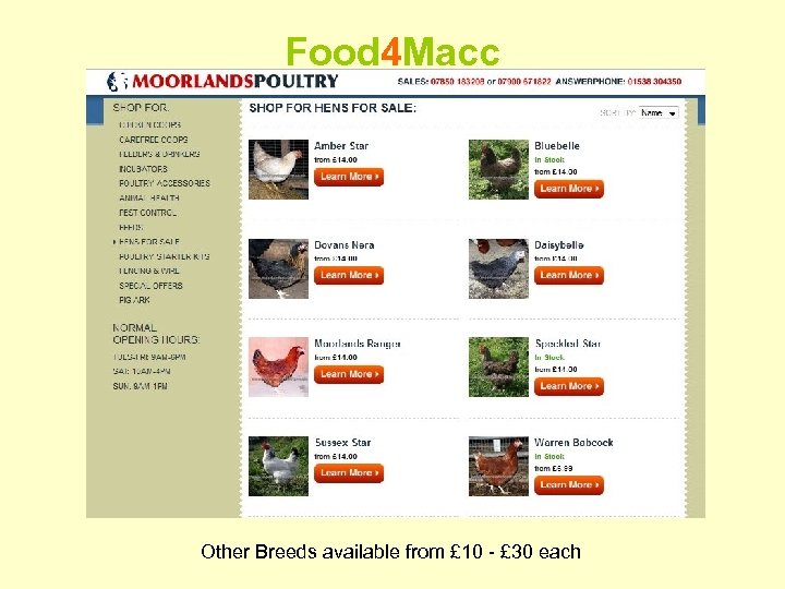 Food 4 Macc Other Breeds available from £ 10 - £ 30 each 