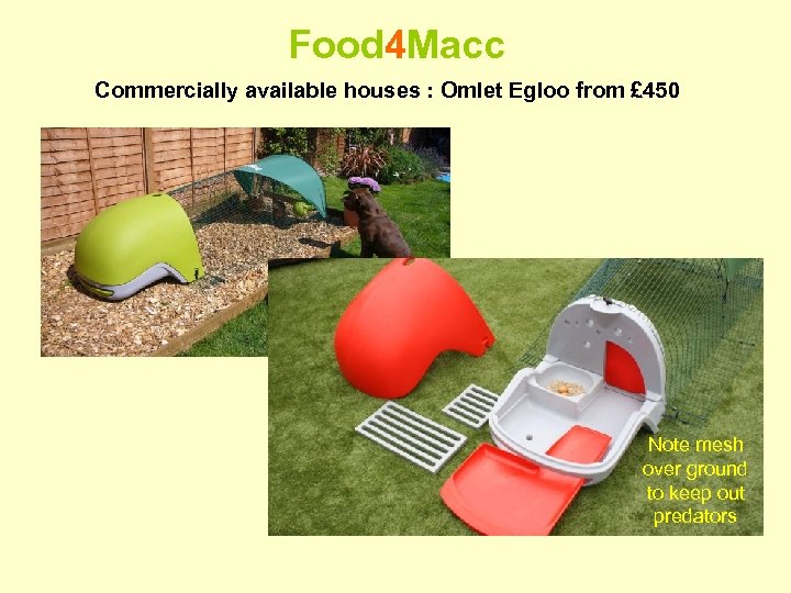 Food 4 Macc Commercially available houses : Omlet Egloo from £ 450 Note mesh