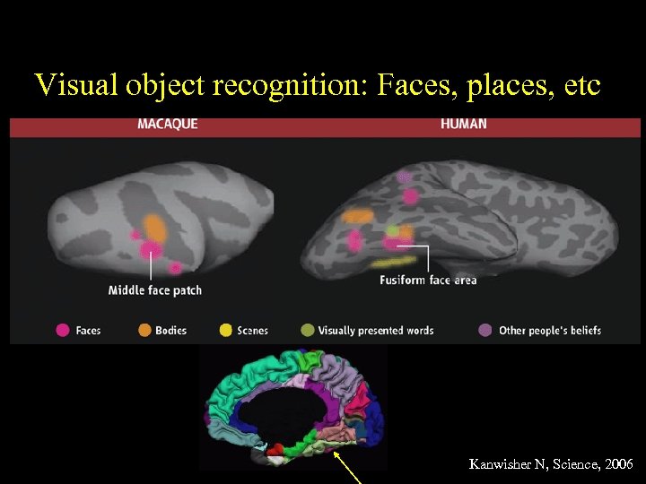 Visual object recognition: Faces, places, etc Kanwisher N, Science, 2006 