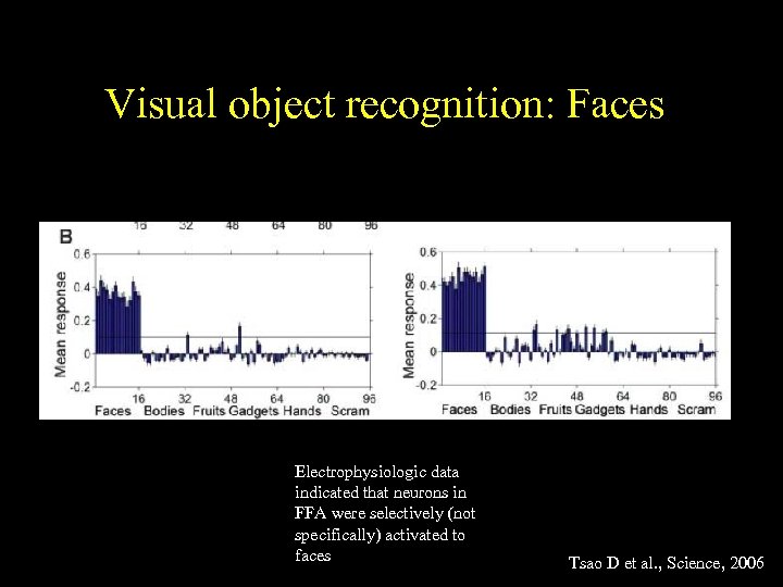 Visual object recognition: Faces Electrophysiologic data indicated that neurons in FFA were selectively (not