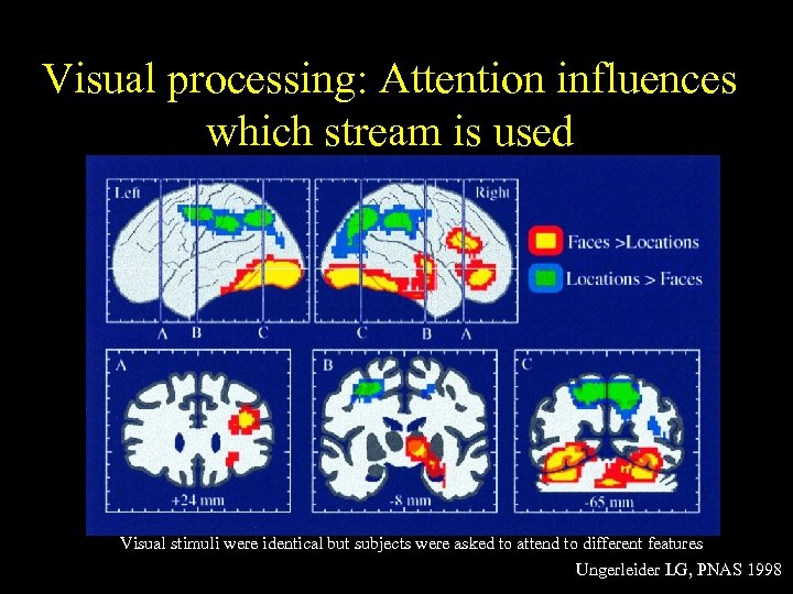 Visual processing: Attention influences which stream is used Visual stimuli were identical but subjects