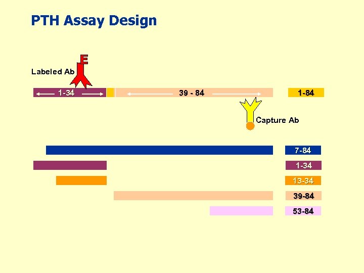 PTH Assay Design Labeled Ab 1 -34 39 - 84 1 -84 Capture Ab