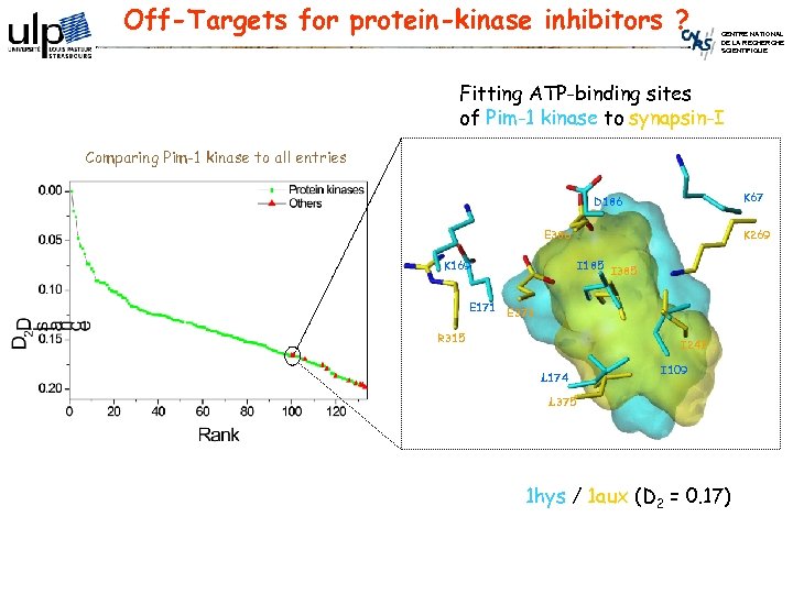 Off-Targets for protein-kinase inhibitors ? CENTRE NATIONAL DE LA RECHERCHE SCIENTIFIQUE Fitting ATP-binding sites