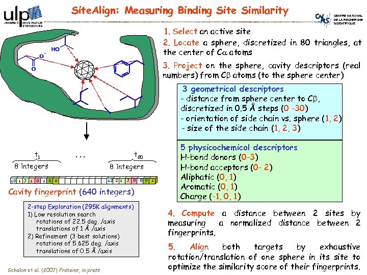 Site. Align: Measuring Binding Site Similarity CENTRE NATIONAL DE LA RECHERCHE SCIENTIFIQUE 1. Select
