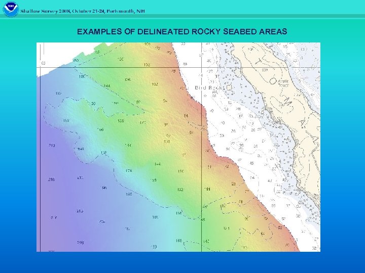 EXAMPLES OF DELINEATED ROCKY SEABED AREAS 