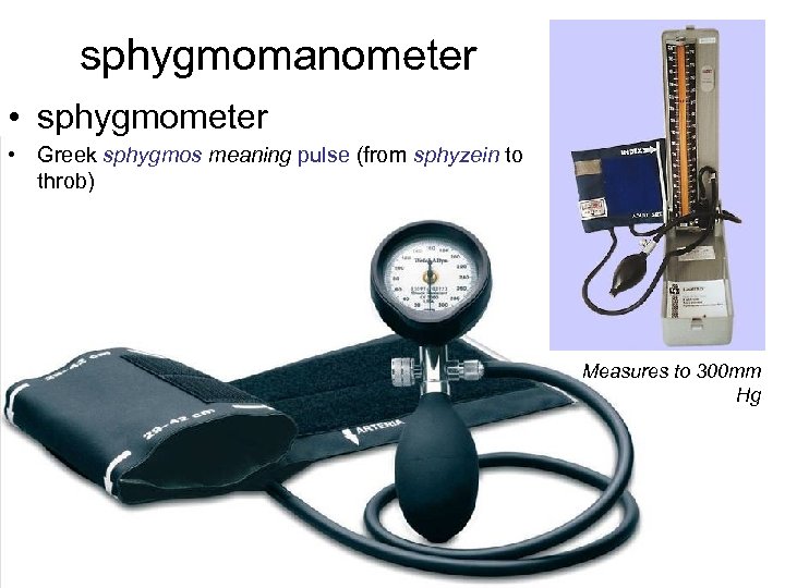 sphygmomanometer • sphygmometer • Greek sphygmos meaning pulse (from sphyzein to throb) Measures to