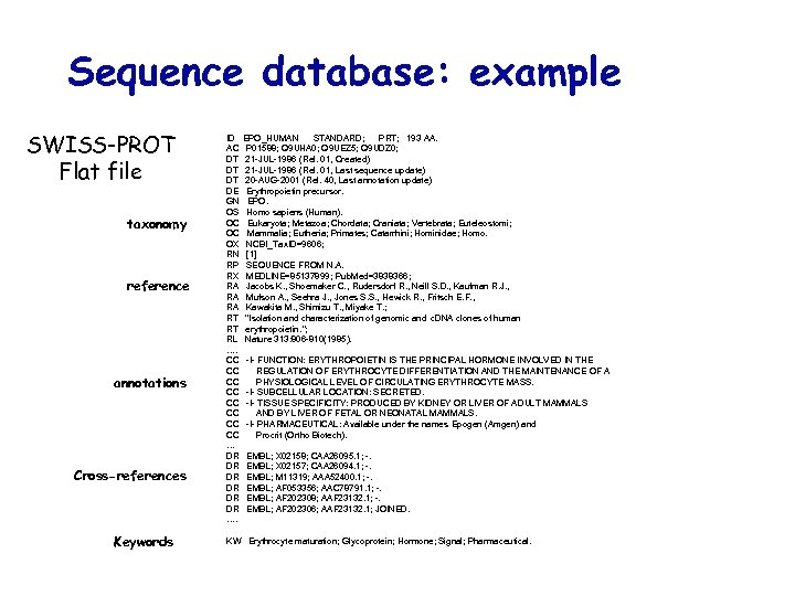 Sequence database: example SWISS-PROT Flat file taxonomy reference annotations Cross-references Keywords ID AC DT