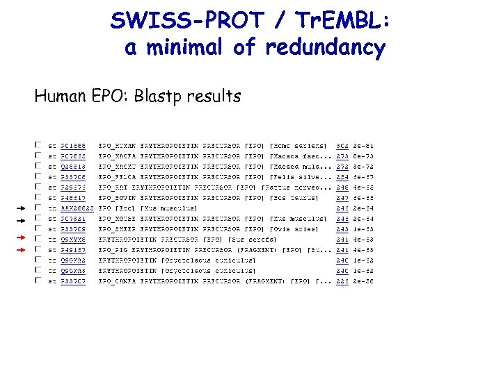 SWISS-PROT / Tr. EMBL: a minimal of redundancy Human EPO: Blastp results 