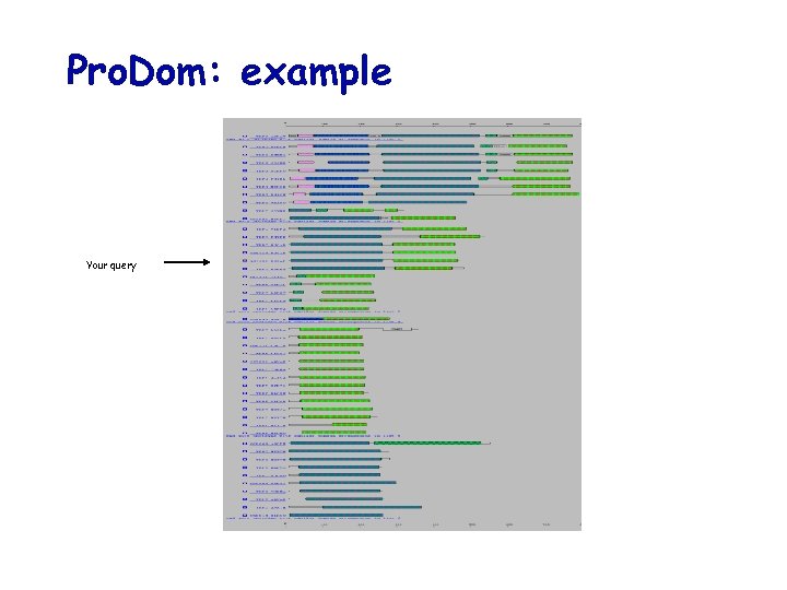 Pro. Dom: example Your query 