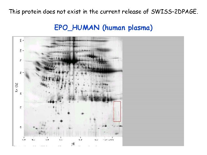 This protein does not exist in the current release of SWISS-2 DPAGE. EPO_HUMAN (human