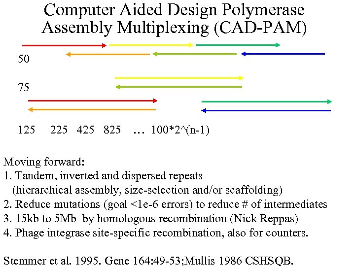 Computer Aided Design Polymerase Assembly Multiplexing (CAD-PAM) 50 75 125 225 425 825 …