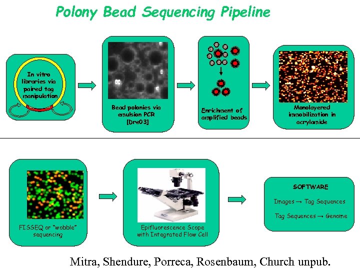 Polony Bead Sequencing Pipeline In vitro libraries via paired tag manipulation Bead polonies via