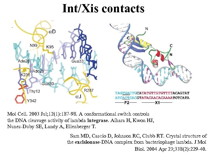 Int/Xis contacts Mol Cell. 2003 Jul; 12(1): 187 -98. A conformational switch controls the