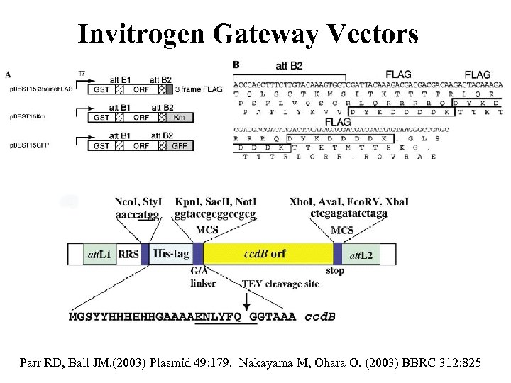 Invitrogen Gateway Vectors Parr RD, Ball JM. (2003) Plasmid 49: 179. Nakayama M, Ohara