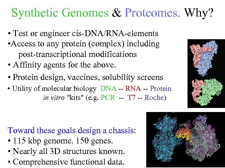 Synthetic Genomes & Proteomes. Why? • Test or engineer cis-DNA/RNA-elements • Access to any