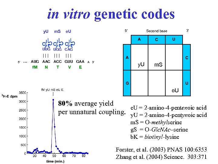 in vitro genetic codes y. U m. S 5' e. U 3' Second base