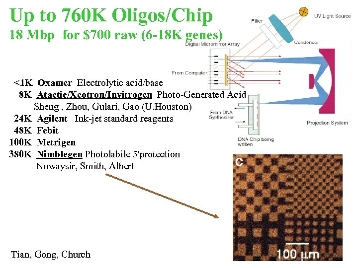 Up to 760 K Oligos/Chip 18 Mbp for $700 raw (6 -18 K genes)