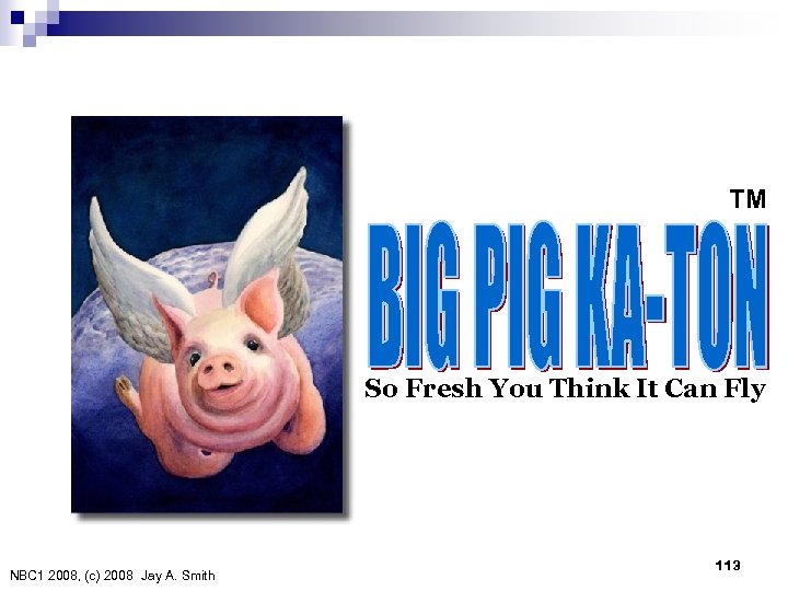 TM So Fresh You Think It Can Fly NBC 1 2008, (c) 2008　Jay A.