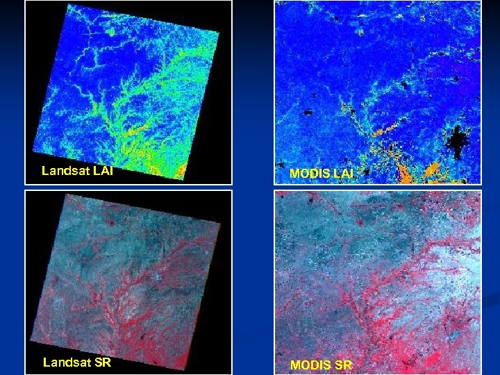 Landsat LAI MODIS LAI Landsat SR MODIS SR 