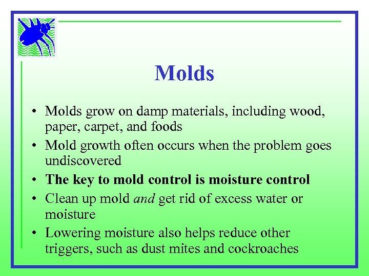 Molds • Molds grow on damp materials, including wood, paper, carpet, and foods •