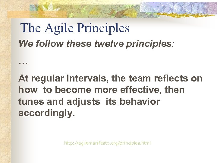 The Agile Principles We follow these twelve principles: … At regular intervals, the team