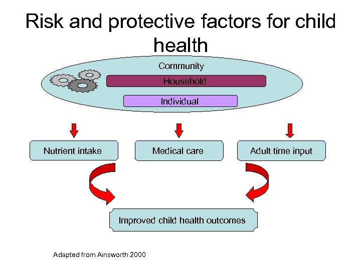 Risk and protective factors for child health Community Household Individual Nutrient intake Medical care