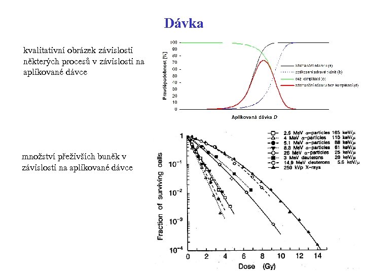Dávka kvalitativní obrázek závislosti některých procesů v závislosti na aplikované dávce množství přeživších buněk
