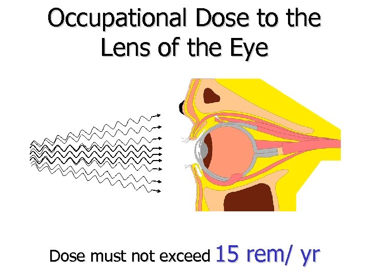 Occupational Dose to the Lens of the Eye Dose must not exceed 15 rem/