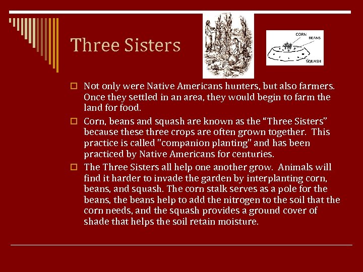 Three Sisters o Not only were Native Americans hunters, but also farmers. Once they