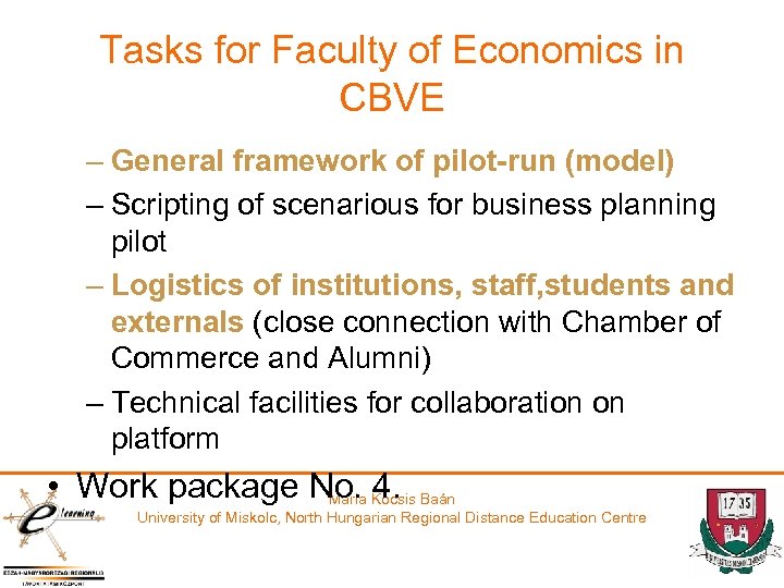 Tasks for Faculty of Economics in CBVE – General framework of pilot-run (model) –